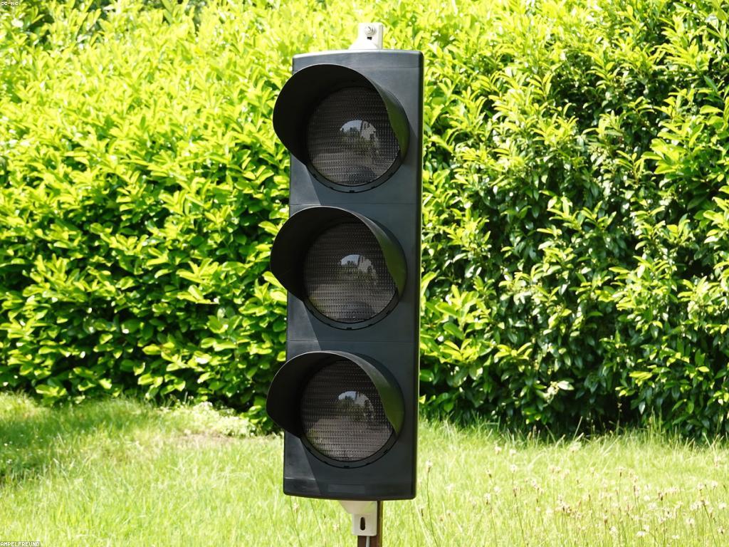 ការស្រាវជ្រាវអំពីអនាគតនៃលេងឥឡូវនេះ