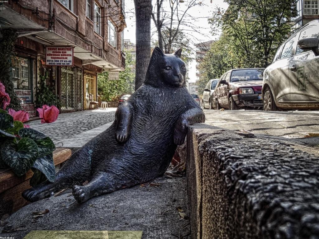 ស្លតថ្មីៗ៖ អត្ថប្រយោជន៍នៃការទទួលបានព័ត៌មានថ្មីៗ